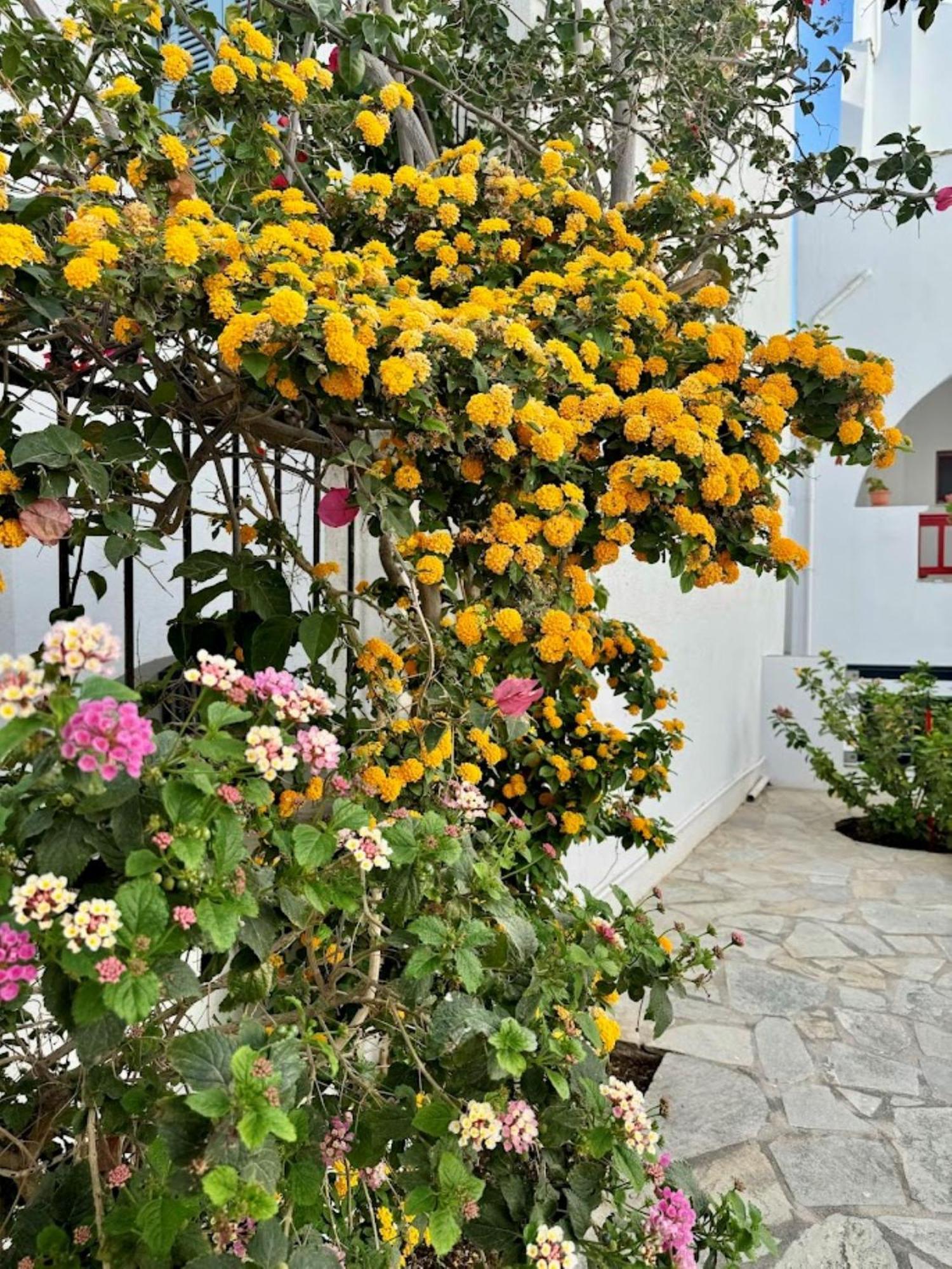 Elisso'S Philoxenia Aparthotel Agios Prokopios  Luaran gambar