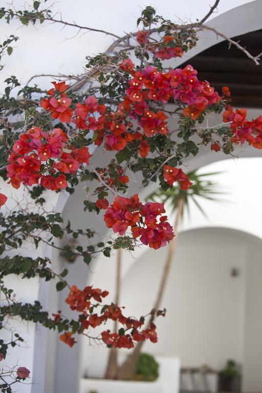 Elisso'S Philoxenia Aparthotel Agios Prokopios  Luaran gambar